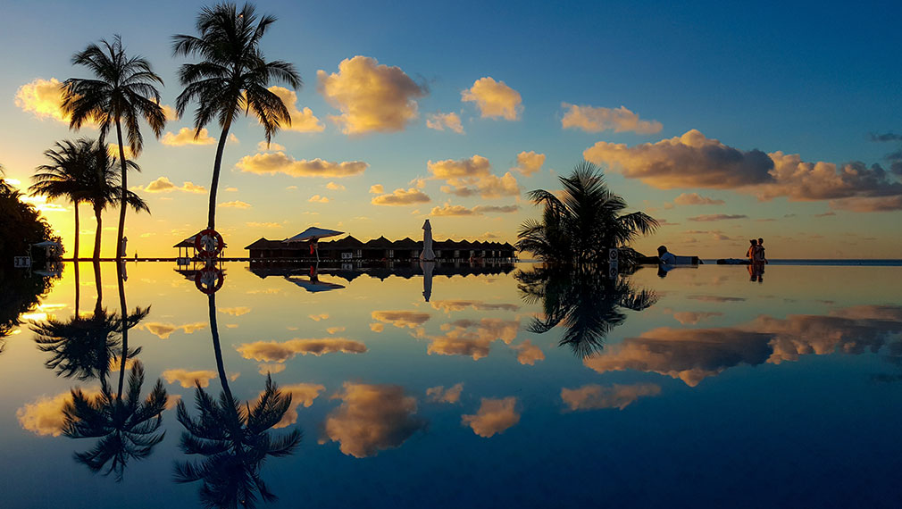 Palm trees and sunset reflect in water of a swimming pool