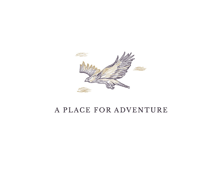 Bespoke illustration of eagle capturing a place for adventure for hotel brand Aikwood Tower