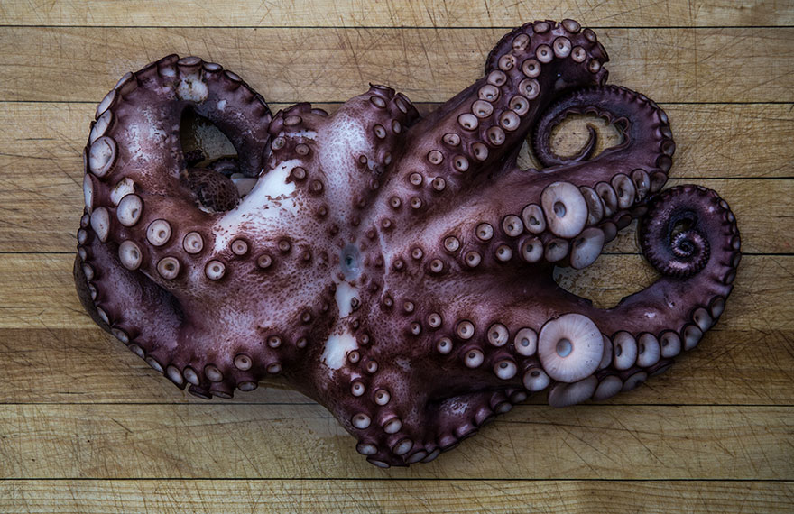 Still life photography of locally sourced octopus on wooden chopping board