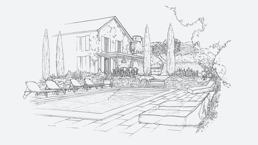 Pencil illustration of the garden and swimming pool
